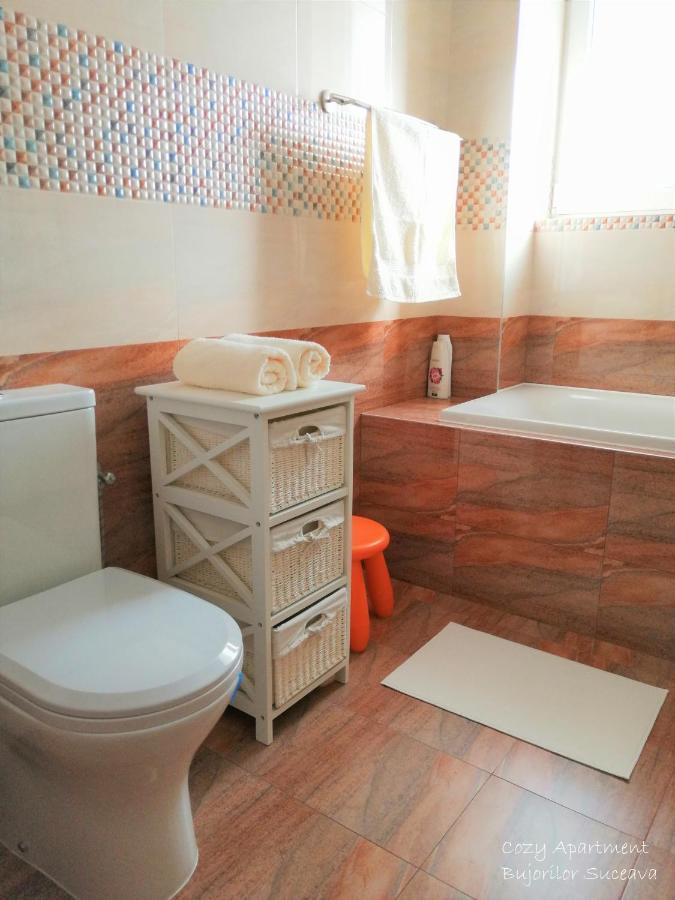 Cozy Apartment Bujorilor Suceava Esterno foto