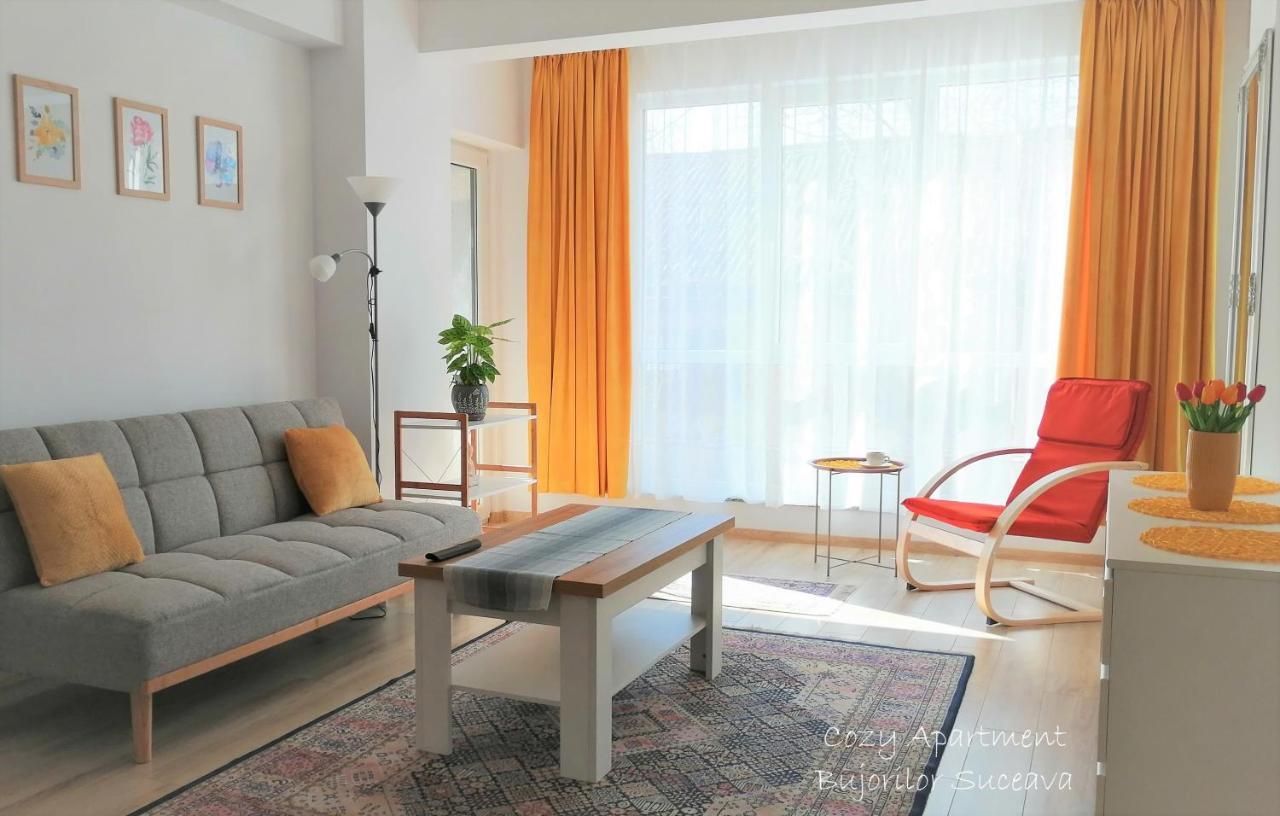 Cozy Apartment Bujorilor Suceava Esterno foto