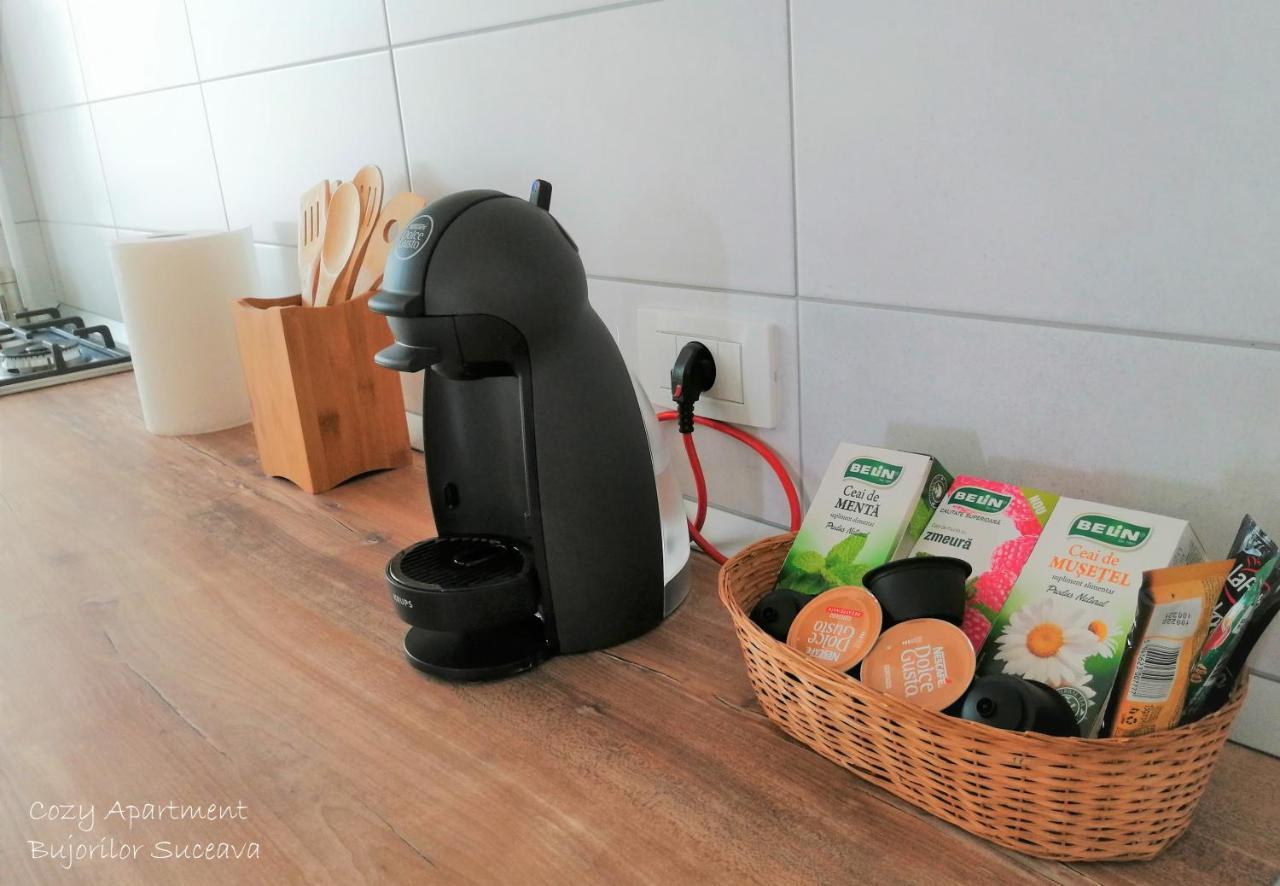 Cozy Apartment Bujorilor Suceava Esterno foto