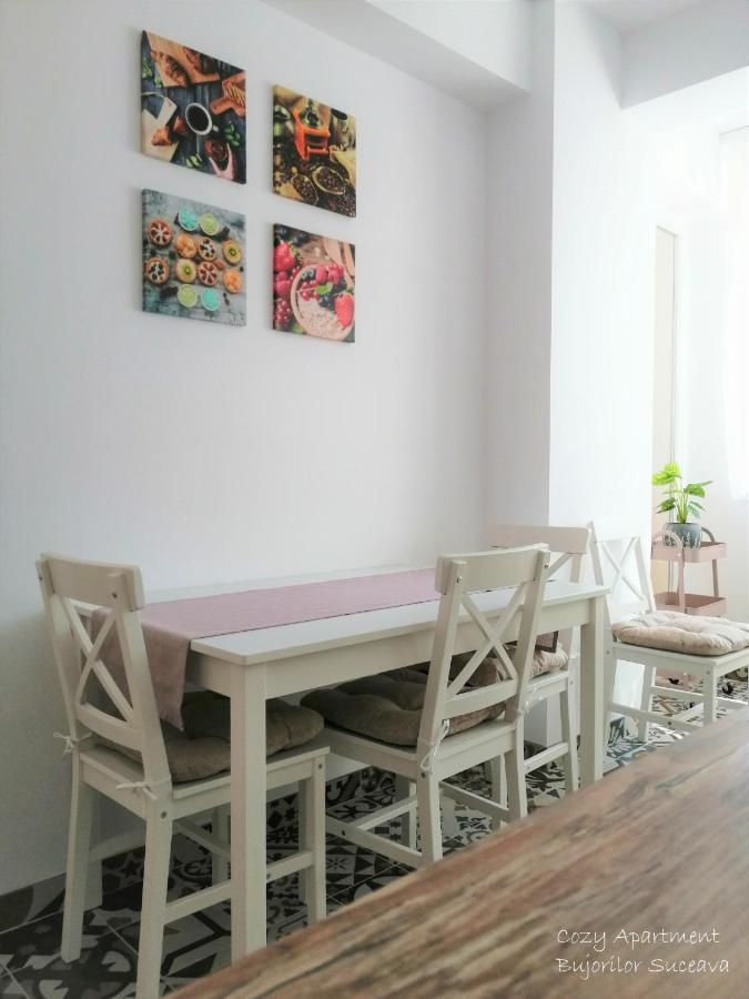Cozy Apartment Bujorilor Suceava Esterno foto