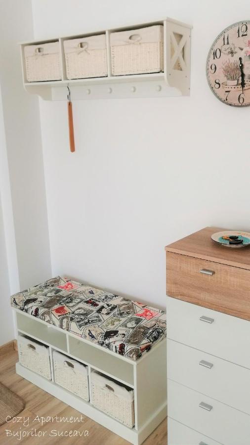 Cozy Apartment Bujorilor Suceava Esterno foto