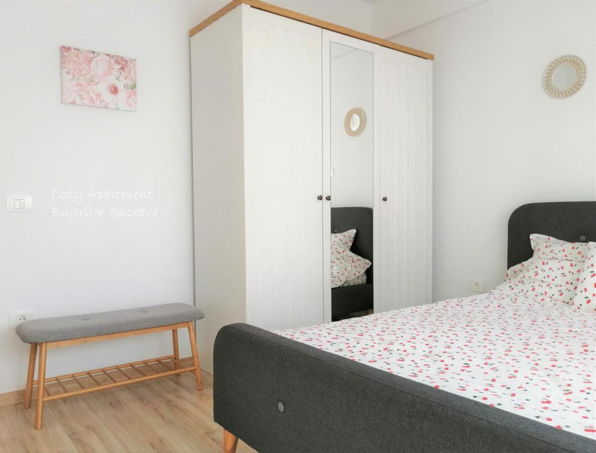 Cozy Apartment Bujorilor Suceava Esterno foto