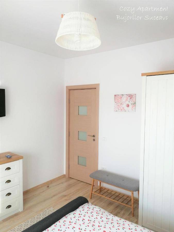 Cozy Apartment Bujorilor Suceava Esterno foto