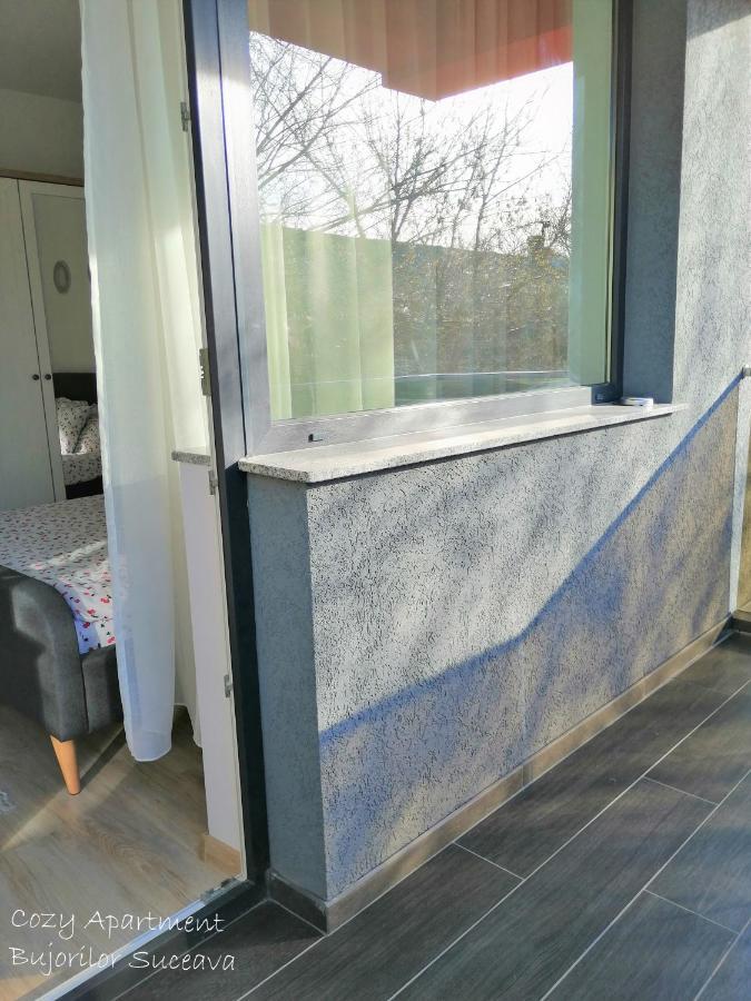 Cozy Apartment Bujorilor Suceava Esterno foto