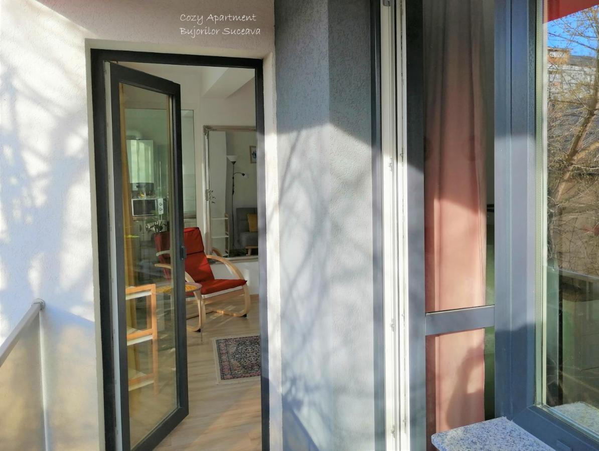 Cozy Apartment Bujorilor Suceava Esterno foto