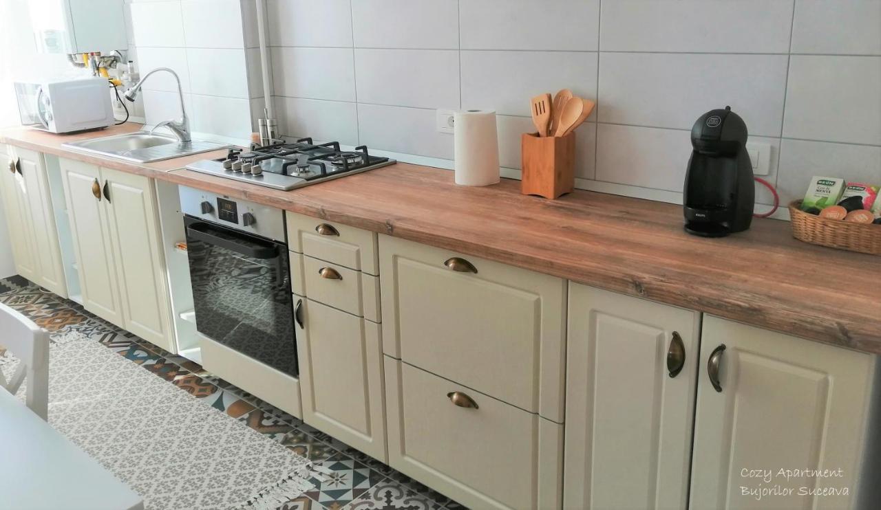 Cozy Apartment Bujorilor Suceava Esterno foto