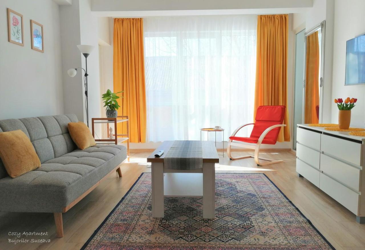 Cozy Apartment Bujorilor Suceava Esterno foto