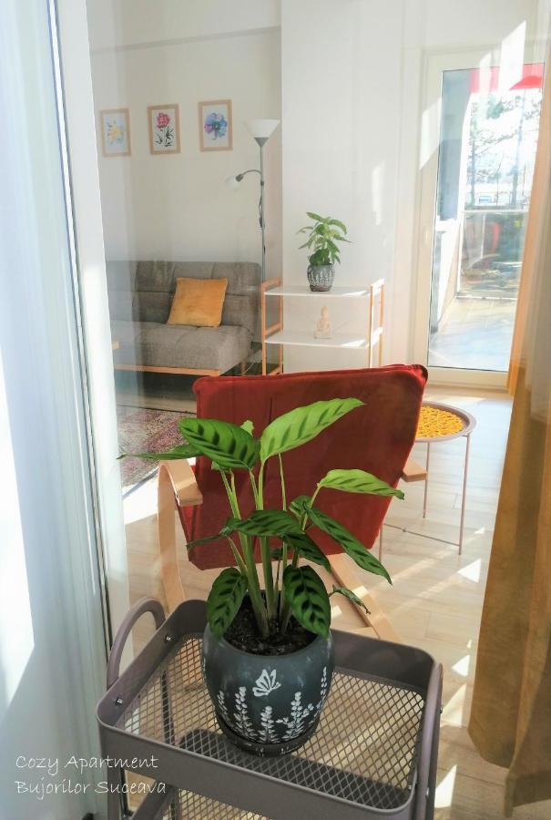 Cozy Apartment Bujorilor Suceava Esterno foto