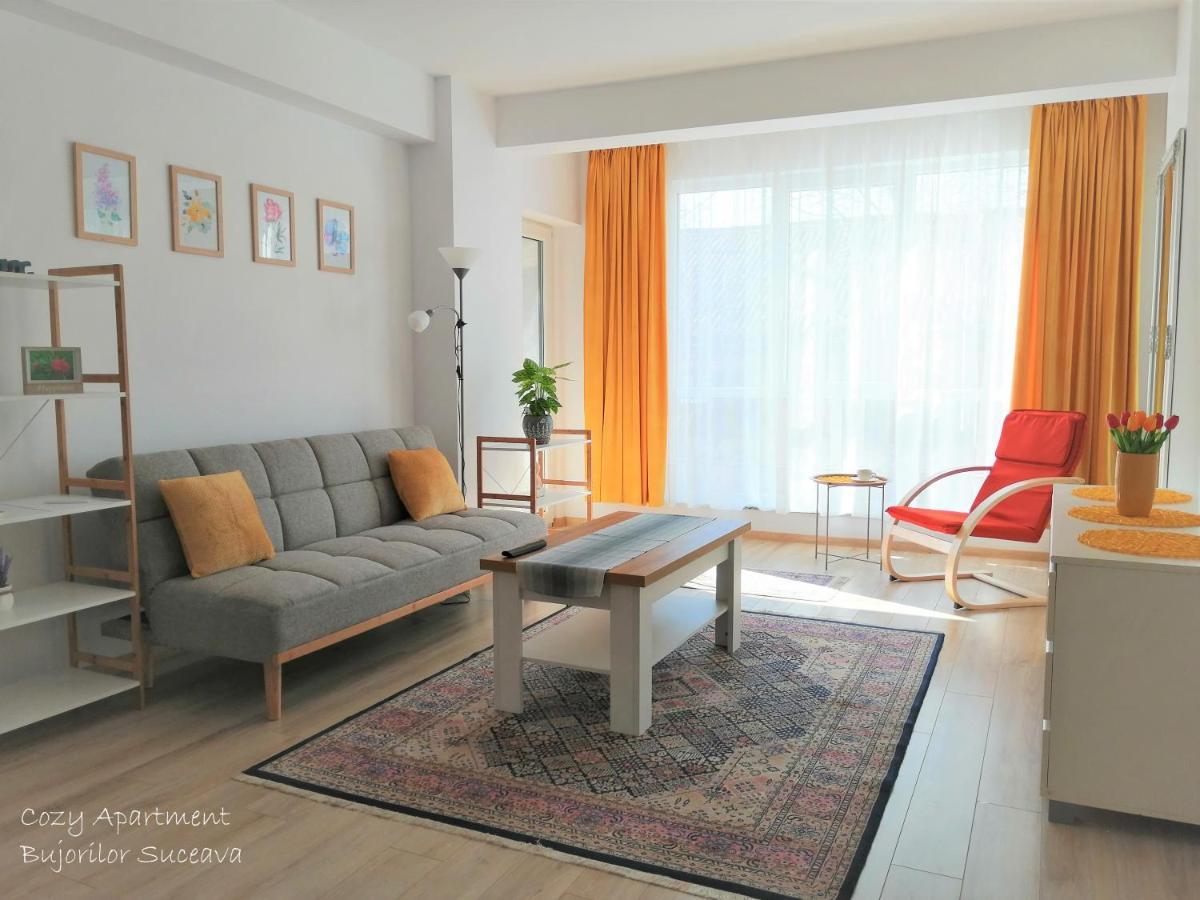 Cozy Apartment Bujorilor Suceava Esterno foto