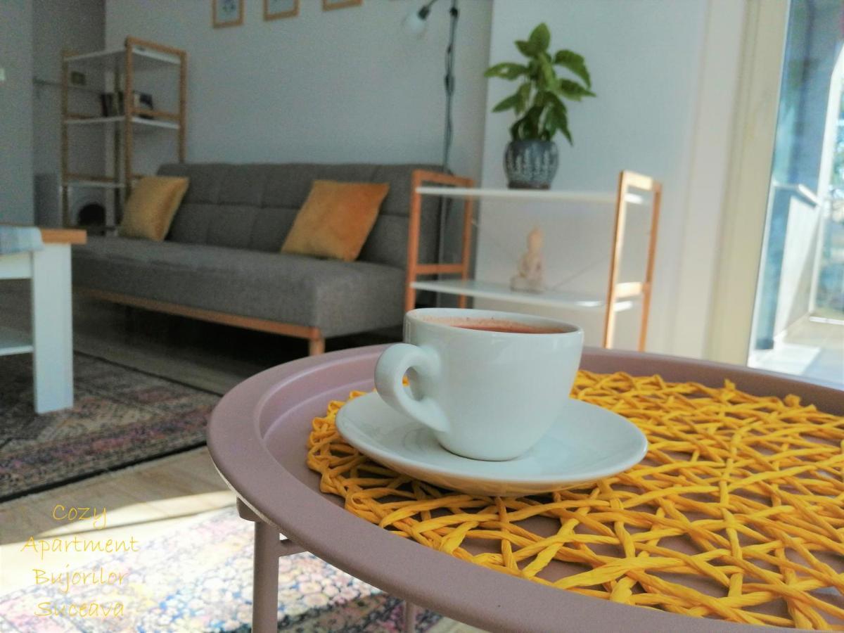 Cozy Apartment Bujorilor Suceava Esterno foto
