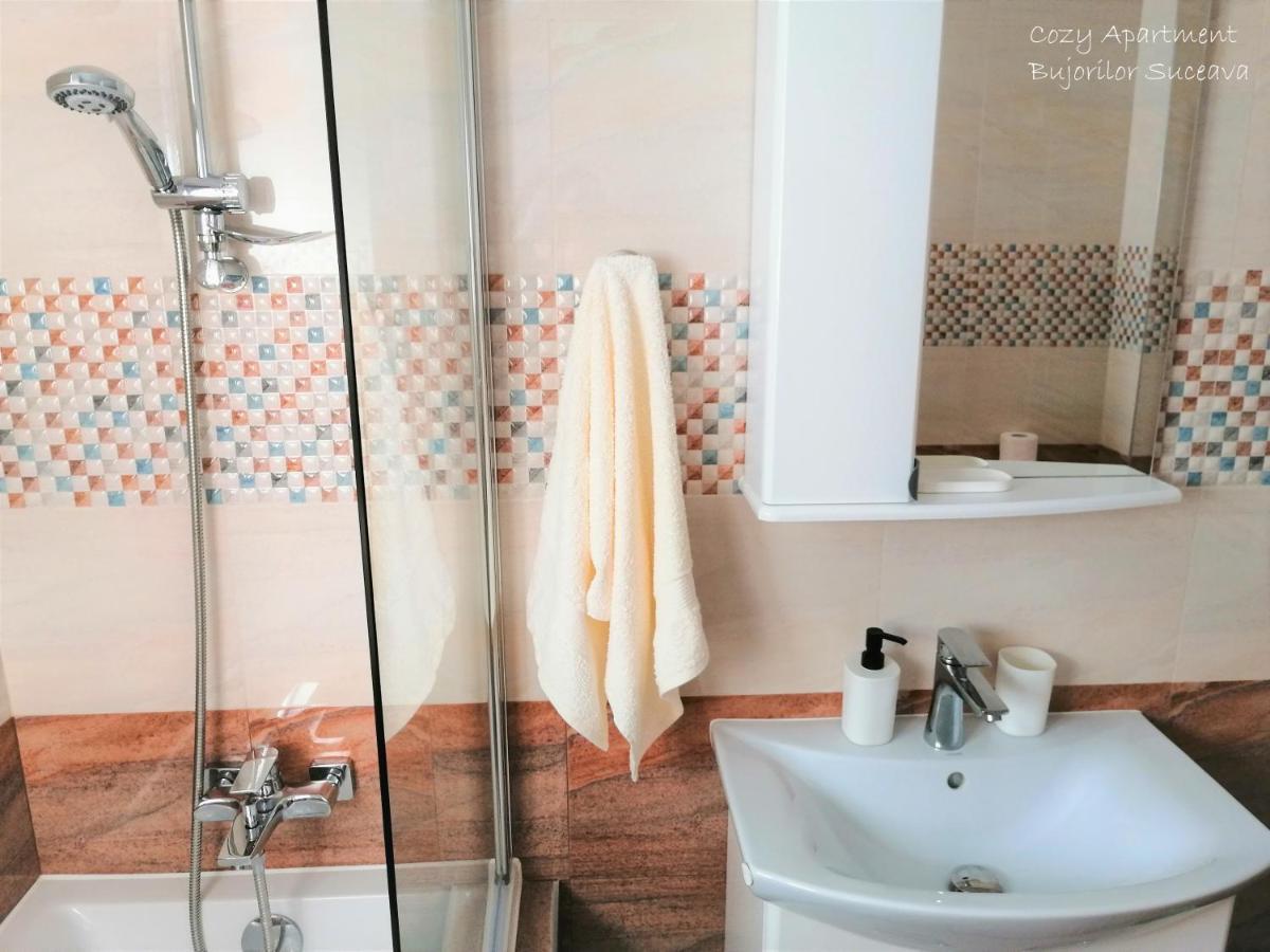Cozy Apartment Bujorilor Suceava Esterno foto
