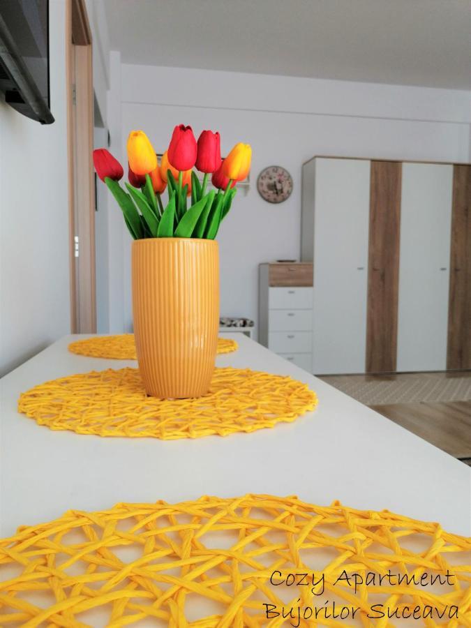 Cozy Apartment Bujorilor Suceava Esterno foto