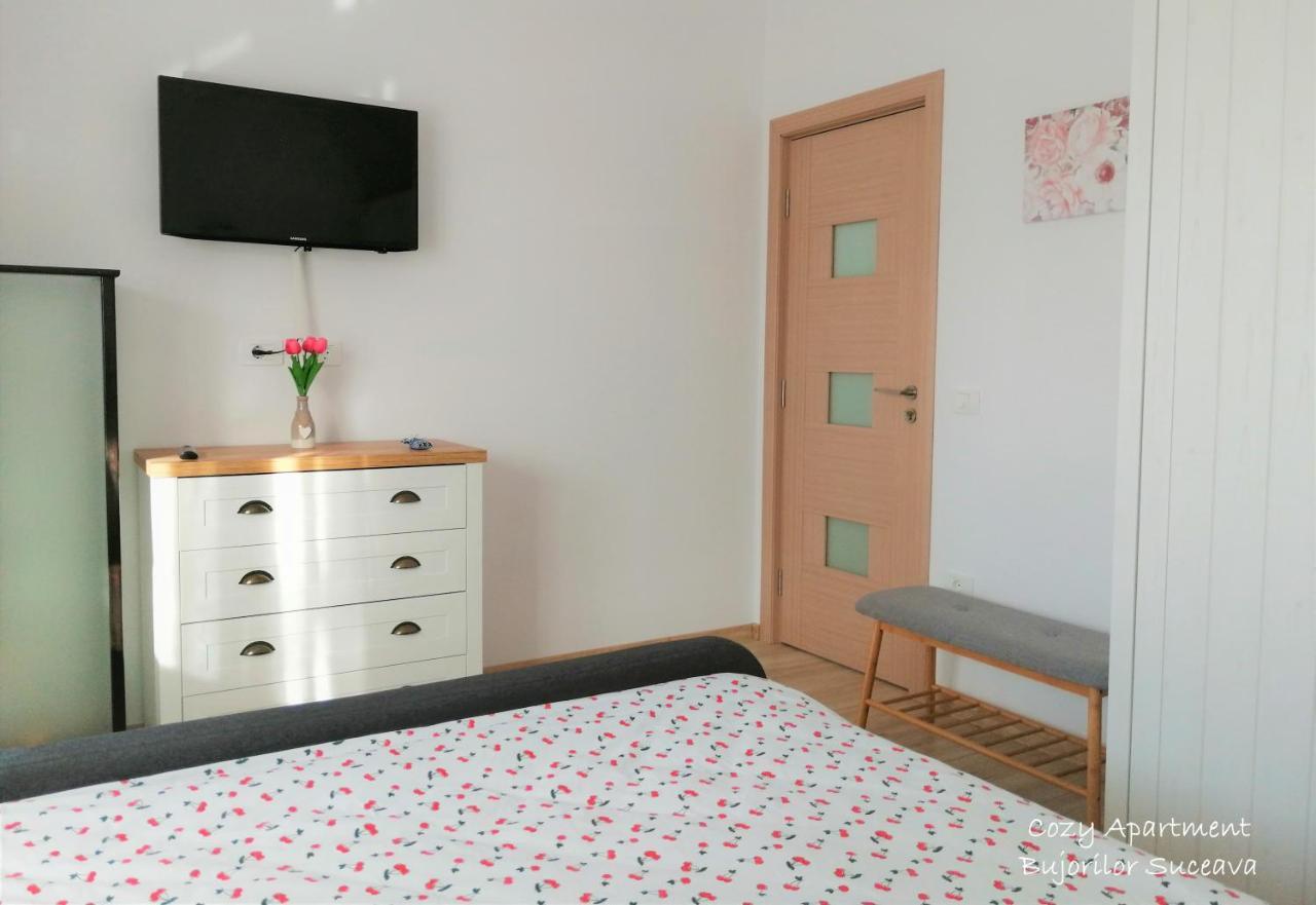 Cozy Apartment Bujorilor Suceava Esterno foto