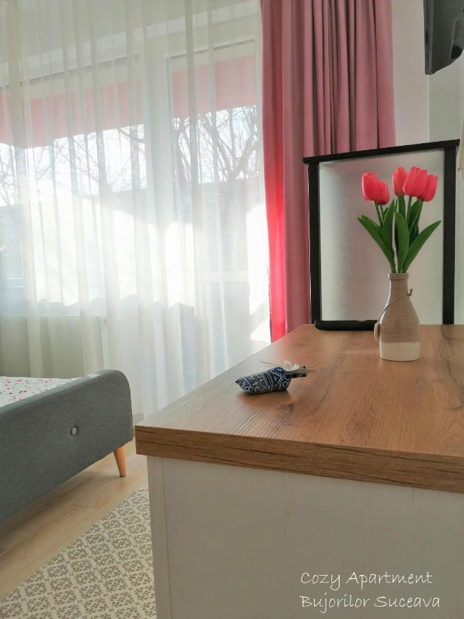 Cozy Apartment Bujorilor Suceava Esterno foto