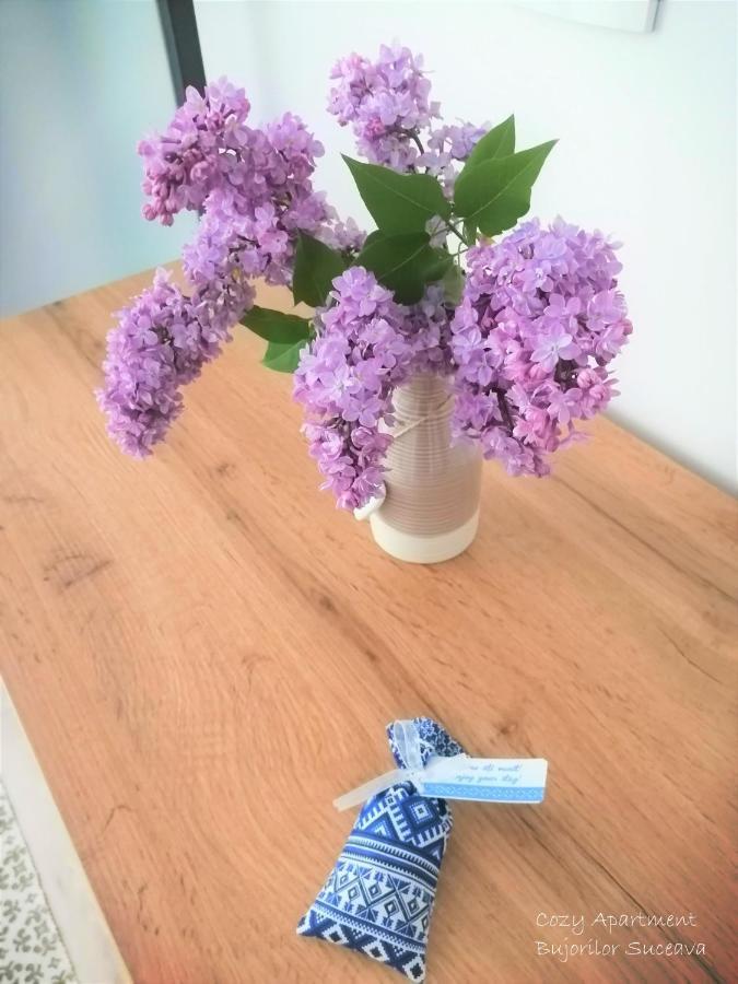 Cozy Apartment Bujorilor Suceava Esterno foto