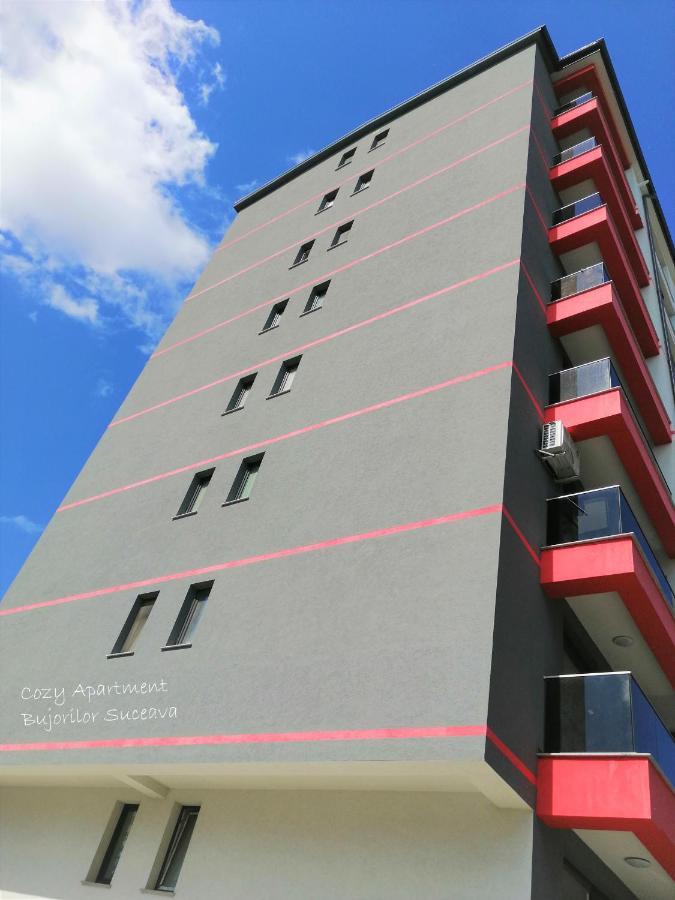 Cozy Apartment Bujorilor Suceava Esterno foto