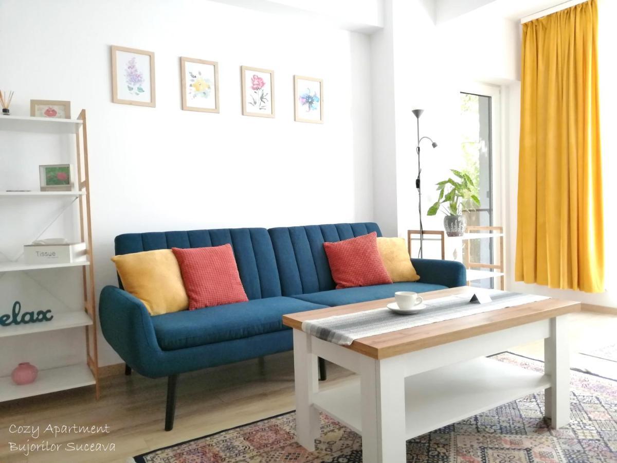 Cozy Apartment Bujorilor Suceava Esterno foto