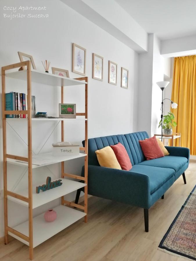 Cozy Apartment Bujorilor Suceava Esterno foto